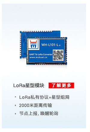 lora星型？