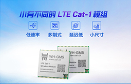 LTE Cat-1？ GM5